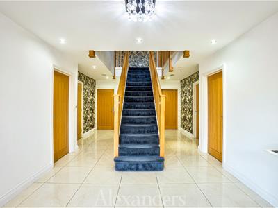 Picture 7